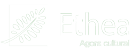 logo ethea blanco